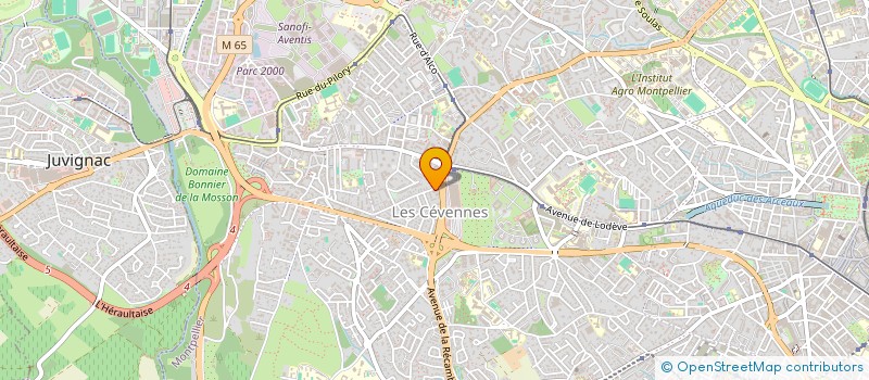 localisation de l'entreprise BOMOI - ASSOCIATION DE SOLIDARITE INTERNATIONALE POUR LA PROMOTION DU DON DE SANG EN REPUBLIQUE DEMOCRATIQUE DU CONGO  MONTPELLIER