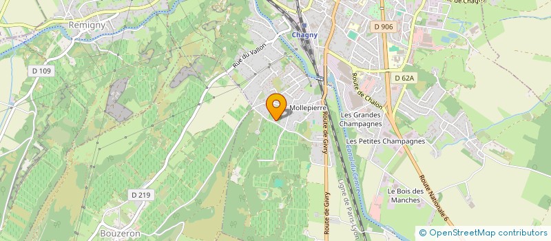 localisation de l'entreprise BON VIN PROPERTIES  CHAGNY