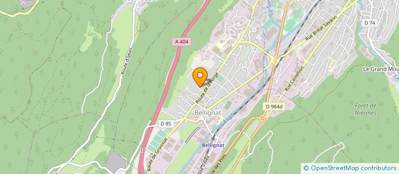 localisation de l'entreprise BONEL à BELLIGNAT