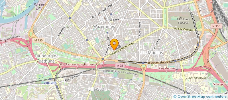 localisation de l'entreprise BONHOMMOLOGUES ASSOCIES  LILLE