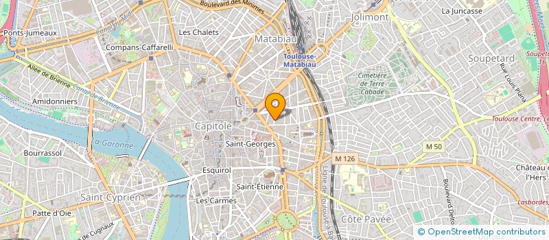 localisation de l'entreprise BONICARTE  TOULOUSE