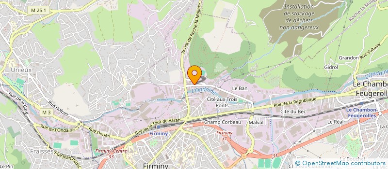 localisation de l'entreprise BONNAVION INVESTISSEMENTS  FIRMINY