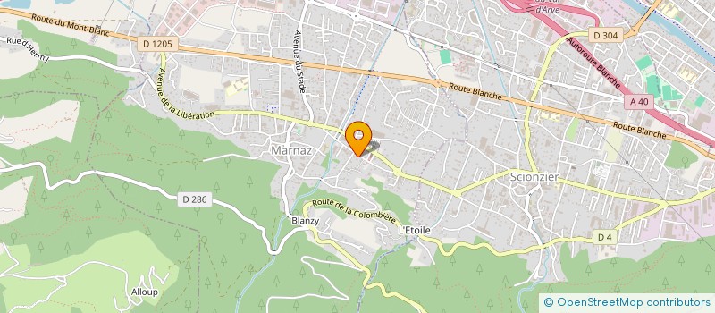 localisation de l'entreprise BONTAZ DELETRAZ à MARNAZ