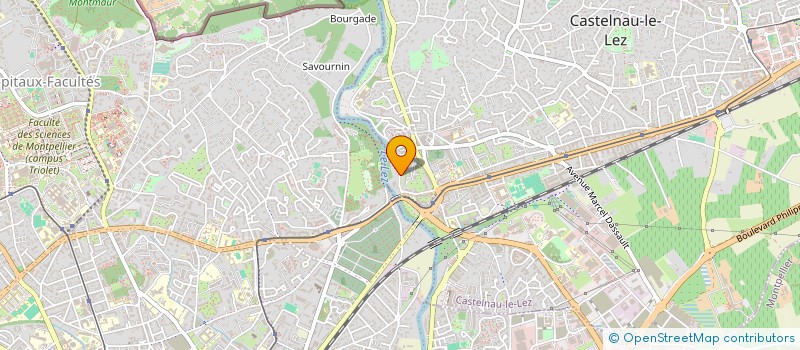localisation de l'entreprise BONTE - TEIXIDO INDIVISION  CASTELNAU-LE-LEZ