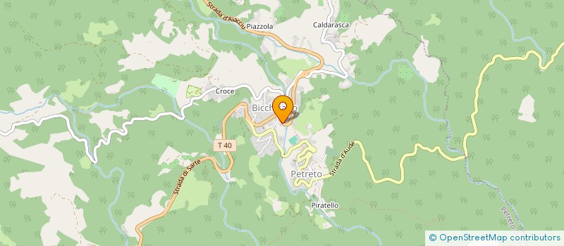 localisation de l'entreprise BOOKYOU  PETRETO-BICCHISANO