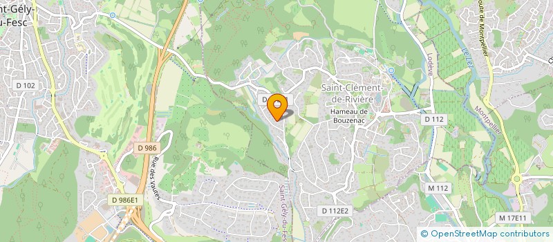 localisation de l'entreprise BORA  SAINT-CLEMENT-DE-RIVIERE