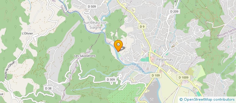 localisation de l'entreprise BORAZUR  PEGOMAS