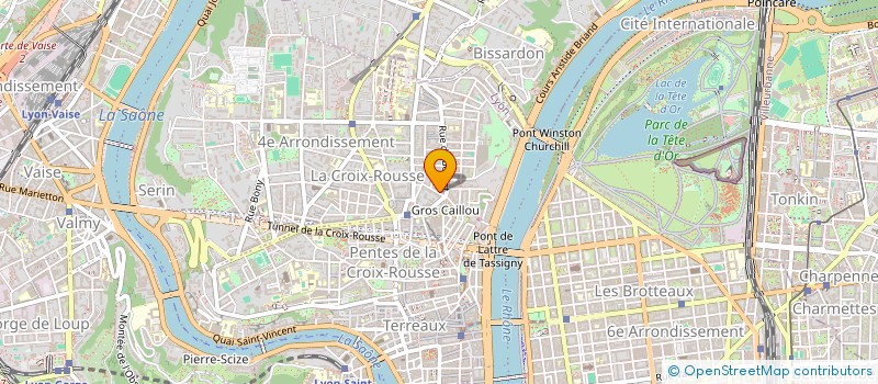 localisation de l'entreprise BORBOLETA THEATRE  LYON