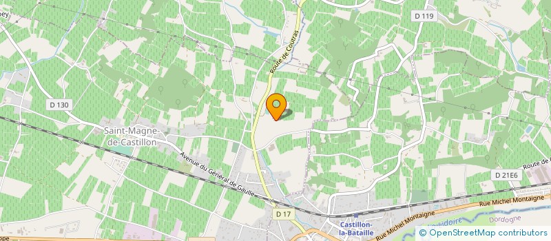 localisation de l'entreprise BORDEAUX BLANZAC HORSE BALL CLUB  SAINT-MAGNE-DE-CASTILLON