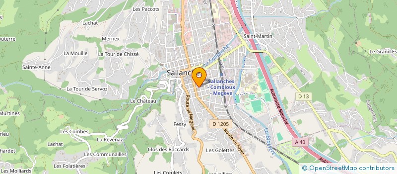 localisation de l'entreprise BORDERLINES BOUTIQUE ASYLUM  SALLANCHES