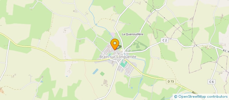 localisation de l'entreprise BORDS DE LOIRE à GREZ-NEUVILLE