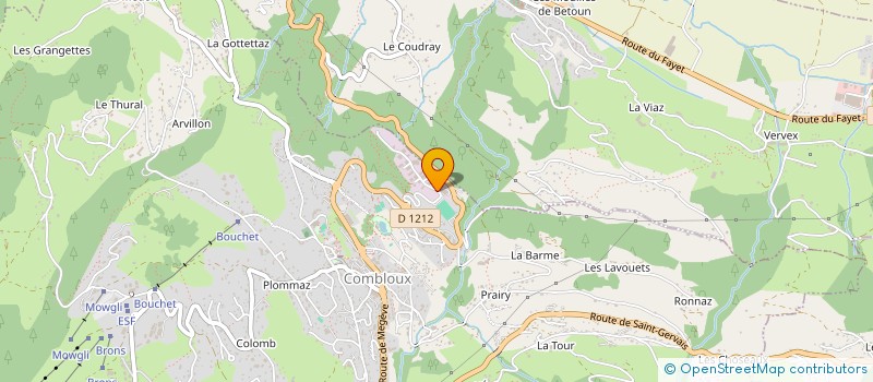 localisation de l'entreprise BORIMMO 190  COMBLOUX