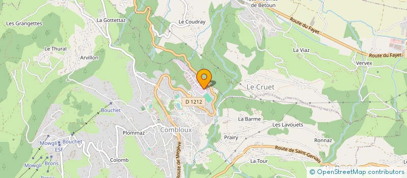 localisation de l'entreprise BORINI DEVELOPPEMENT à COMBLOUX