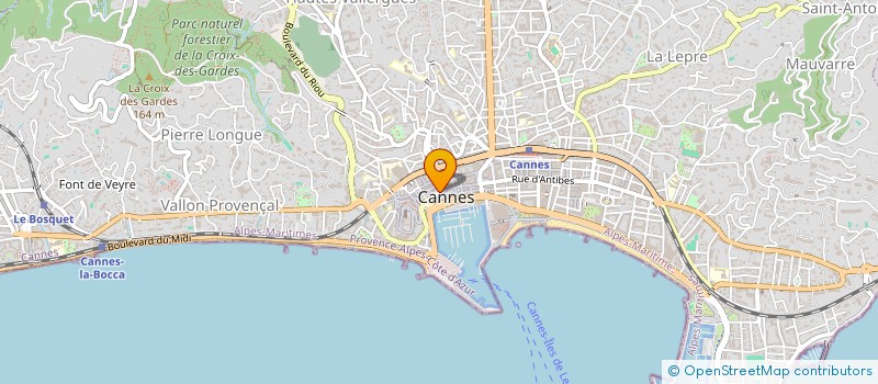 localisation de l'entreprise BORN TO HOST à CANNES