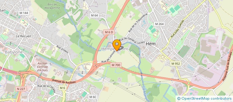 localisation de l'entreprise BORRIN CONSEIL à VILLENEUVE-D'ASCQ