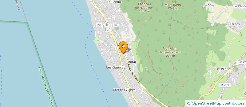 localisation de l'entreprise BOSS CONSTRUCTION  VEYRIER-DU-LAC