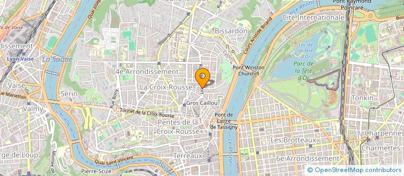 localisation de l'entreprise BOSSANDGO à LYON