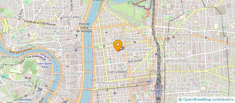 localisation de l'entreprise BOSSUET  LYON