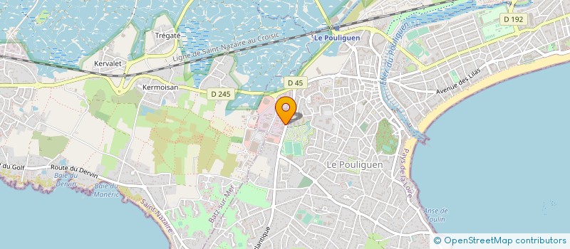 localisation de l'entreprise BOTTLE JUICE  LE POULIGUEN