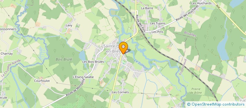 localisation de l'entreprise BOUCHERIE BOURCET LUDOVIC  SAINTE-CROIX-EN-BRESSE