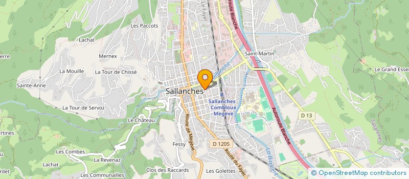 localisation de l'entreprise BOUCHERIE DE L'AVENUE  SALLANCHES