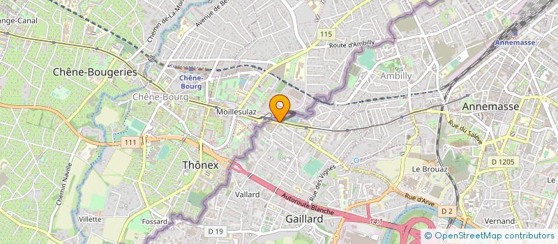 localisation de l'entreprise BOUCHERIE DE LA DOUANE  GAILLARD