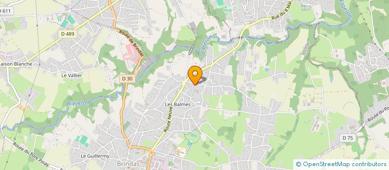 localisation de l'entreprise BOUCHERIE DES MONTS D'OR  BRINDAS