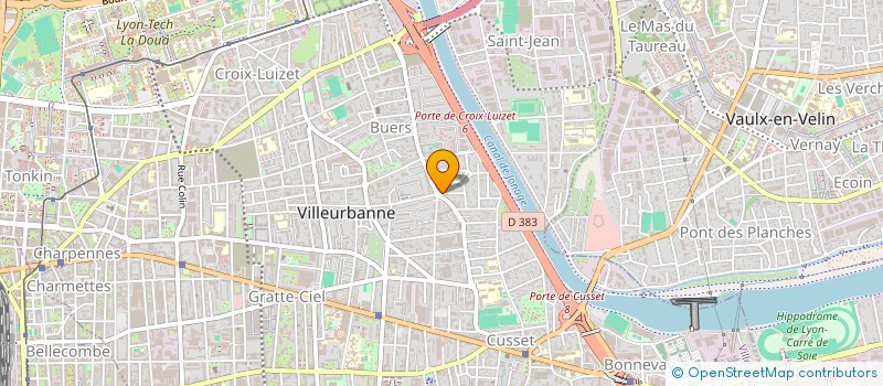 localisation de l'entreprise BOUCHERIE DES STRAUSS  VILLEURBANNE