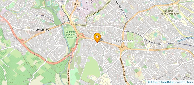 localisation de l'entreprise BOUCHERIE DU MAGHREB à MONTPELLIER
