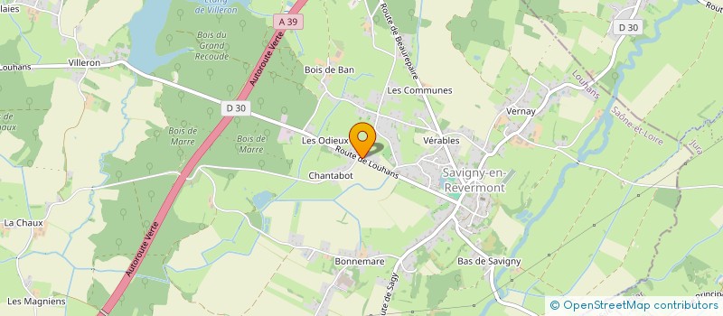 localisation de l'entreprise BOUDIER ENERGIES  SAVIGNY-EN-REVERMONT