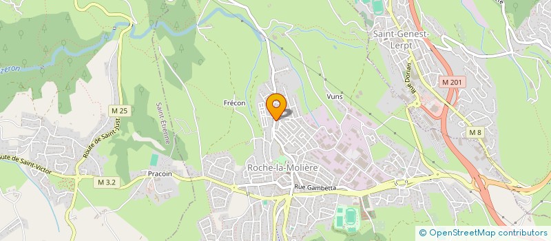 localisation de l'entreprise  BOUGE TA FLEM   ROCHE-LA-MOLIERE