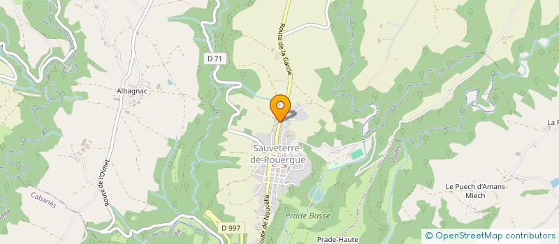 localisation de l'entreprise BOUGNAT  SAUVETERRE-DE-ROUERGUE