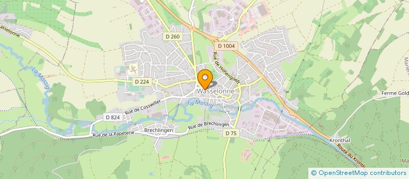 localisation de l'entreprise BOULANGERIE PATISSERIE THOMAS  WASSELONNE