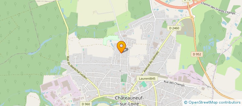 localisation de l'entreprise BOULE CASTELNEUVIENNE à CHATEAUNEUF-SUR-LOIRE