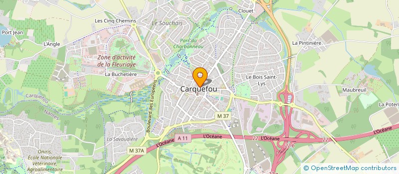 localisation de l'entreprise BOULEAUDION  CARQUEFOU