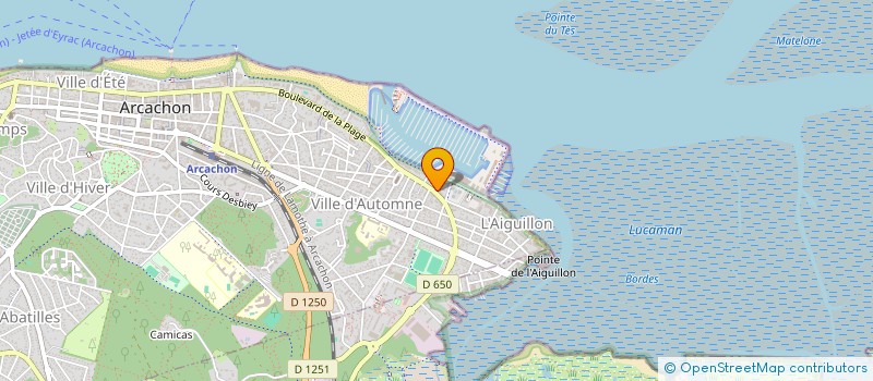 localisation de l'entreprise BOURAHLI SARL  ARCACHON