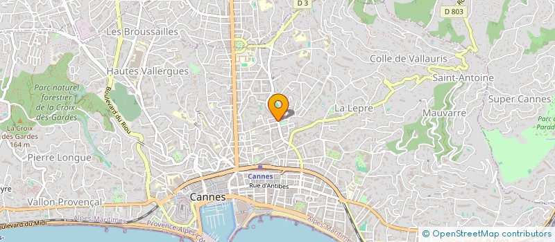 localisation de l'entreprise BOURAOUI FRERES ET CIE à CANNES