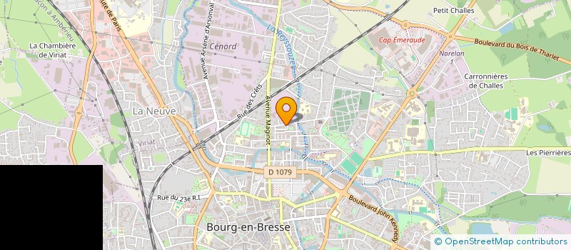 localisation de l'entreprise BOURG SERVICE 01 à BOURG-EN-BRESSE