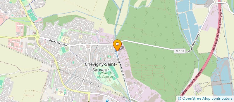 localisation de l'entreprise BOURGOGNE INVEST 2014  CHEVIGNY-SAINT-SAUVEUR