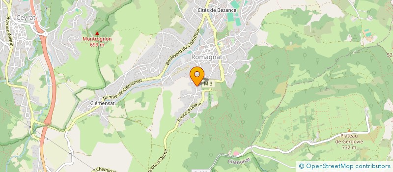 localisation de l'entreprise BOURGOINT FRANCOIS                   1  ROMAGNAT