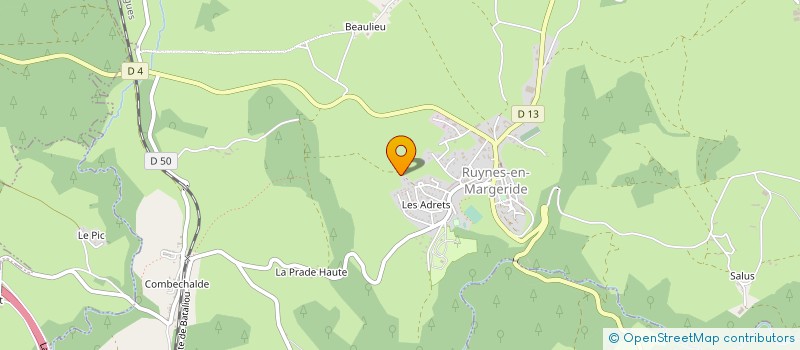 localisation de l'entreprise BOURRIER ENERGIE à RUYNES-EN-MARGERIDE