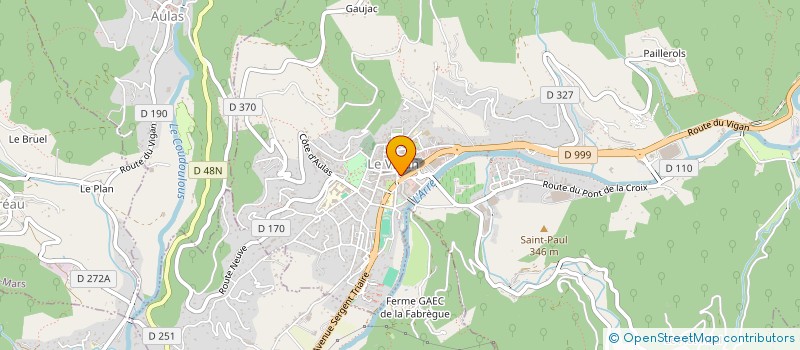 localisation de l'entreprise BOURRIER FLEURS  LE VIGAN