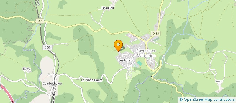 localisation de l'entreprise BOURRIER INVESTISSEMENTS à RUYNES-EN-MARGERIDE