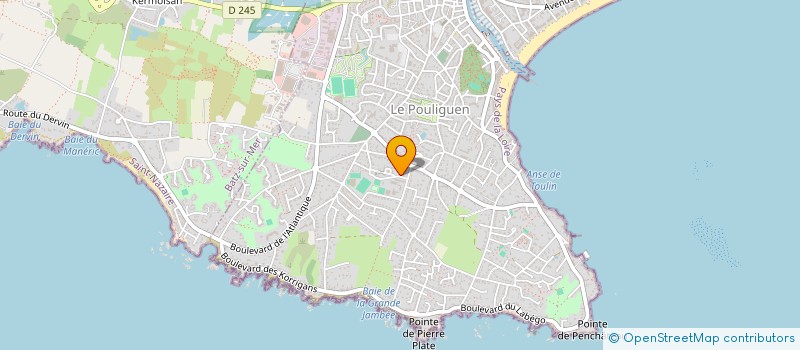 localisation de l'entreprise BOUYOU  LE POULIGUEN