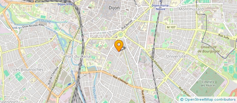 localisation de l'entreprise BOUZAITOUN  DIJON