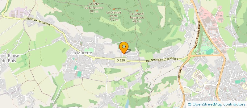 localisation de l'entreprise BOYET RIBEIRO  LA MURETTE