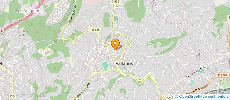 localisation de l'entreprise BP2 SAS à VALLAURIS