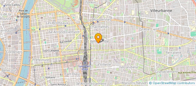 localisation de l'entreprise BPM CONSEIL IMMOBILIER  LYON