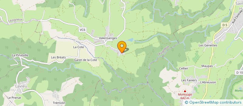 localisation de l'entreprise BR IMMO  LEZIGNEUX