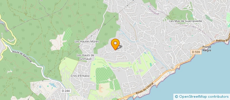 localisation de l'entreprise BRABEC ET KOLESNIKOV INDIVISION  GRIMAUD